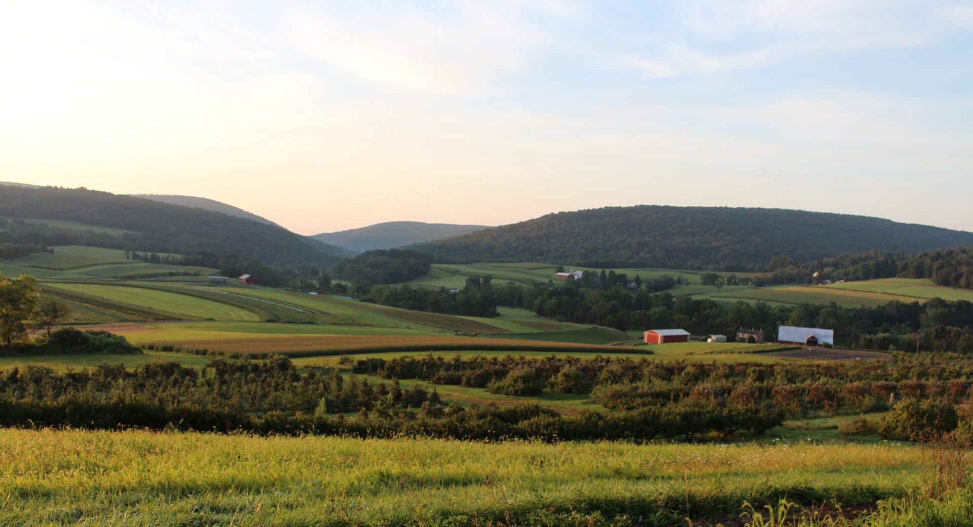 Rolling green farmland with distant red barn