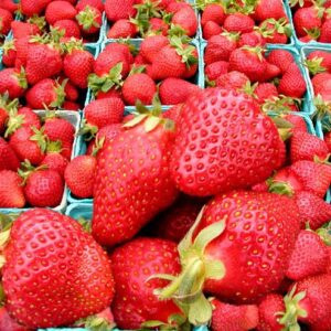 Fresh ripe strawberries in green cartons