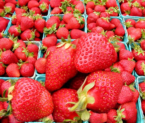 strawberries04
