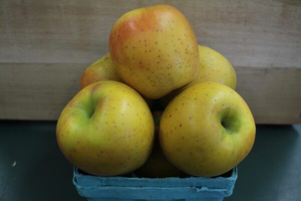 Speckled yellow apples in blue carton