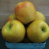 Speckled yellow apples in blue carton