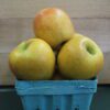 Three yellow apples in a blue carton
