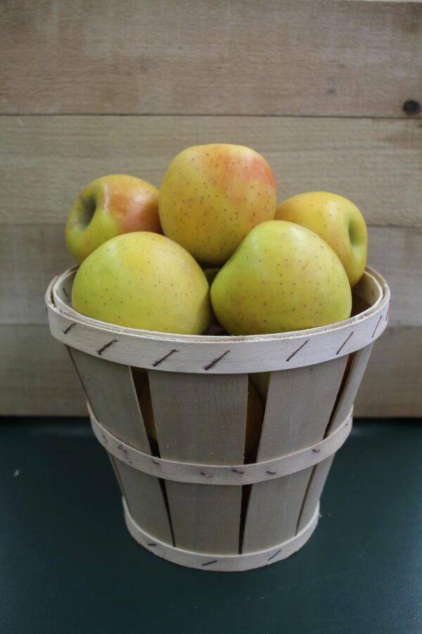 Rustic bushel basket of pale yellow apples