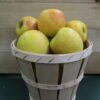 Rustic bushel basket of pale yellow apples