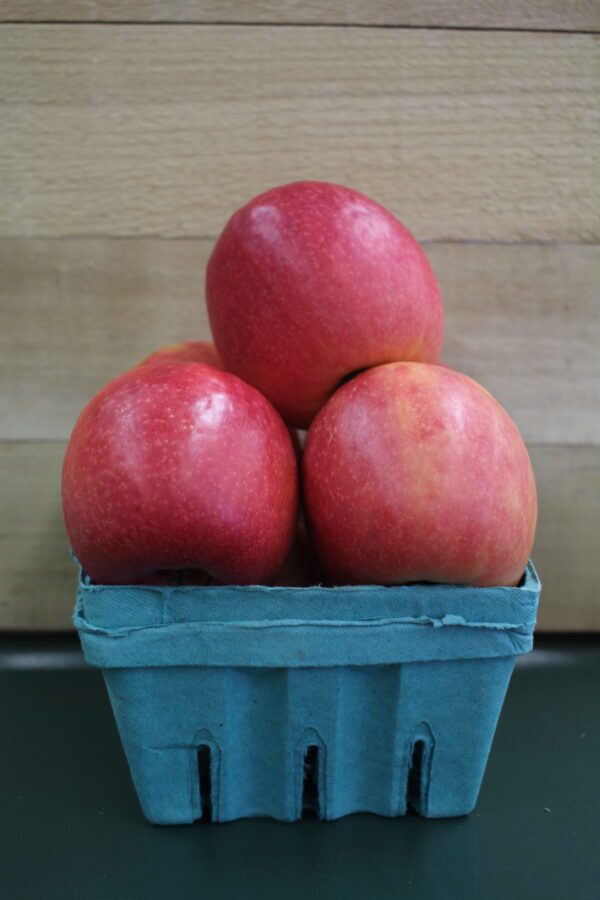 Stacked red nectarines in blue carton