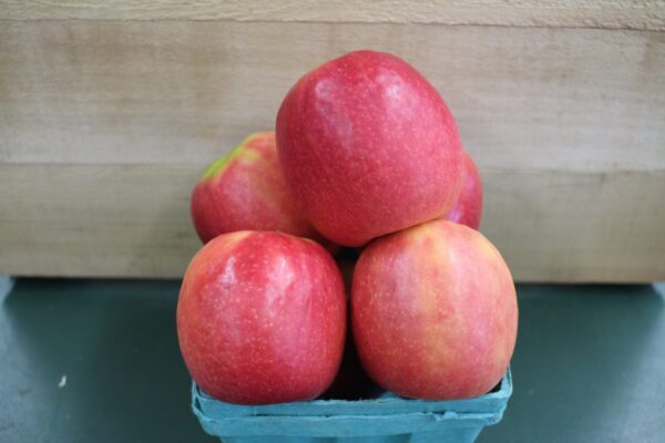 Fresh red apples in small blue carton