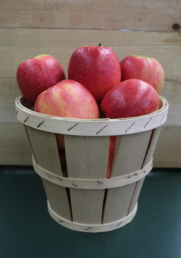 Wooden bushel basket filled with red apples