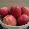 Fresh red apples in rustic wooden basket