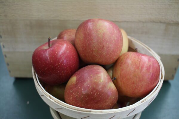 Ripe red apples in wooden basket