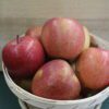 Ripe red apples in wooden basket