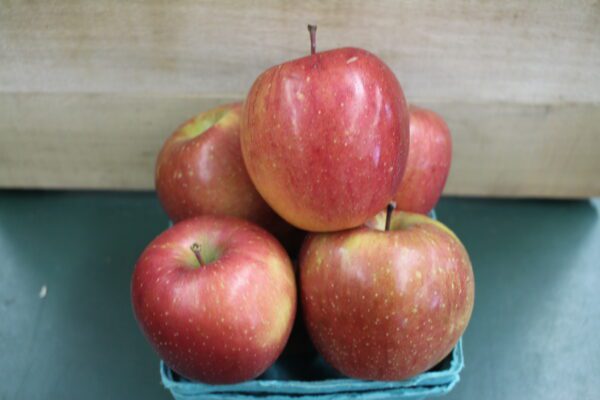 Fresh red apples in a blue carton