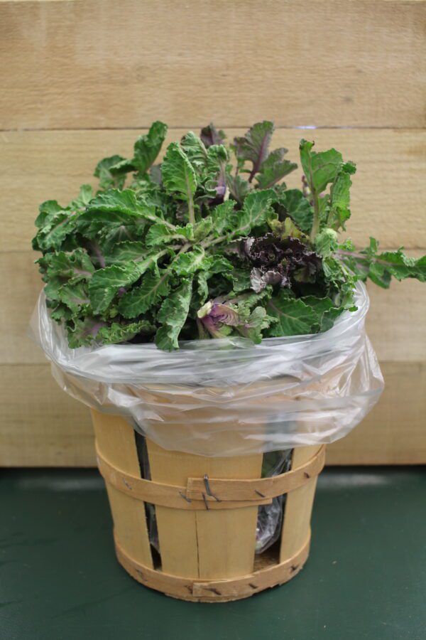 Potted kale in plastic-lined wooden basket