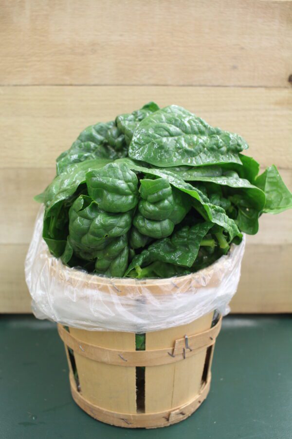 Fresh spinach piled in wooden basket