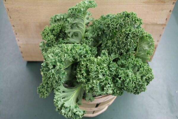 Fresh curly kale in a wooden basket