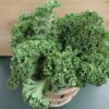 Fresh curly kale in a wooden basket