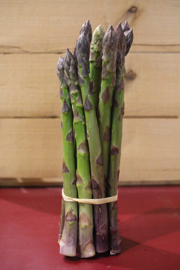 Fresh asparagus bunch tied with rubber band