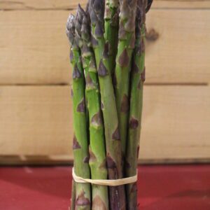Fresh asparagus bunch tied with rubber band
