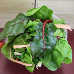 Bunch of rainbow chard leaves