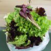 Fresh mixed salad greens in plastic bag
