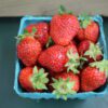 Blue carton of fresh ripe strawberries