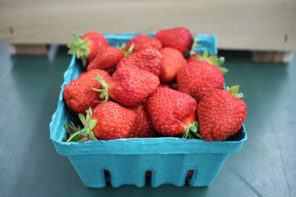 Bright red strawberries in small blue carton