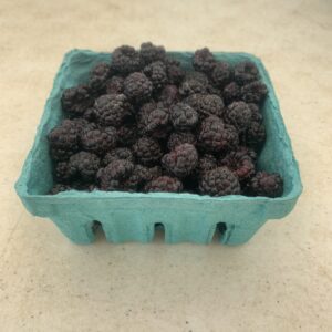 Pint of ripe black raspberries in green carton Pint of ripe black raspberries in green carton
