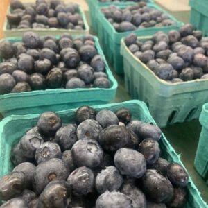 Fresh blueberries in green pint baskets