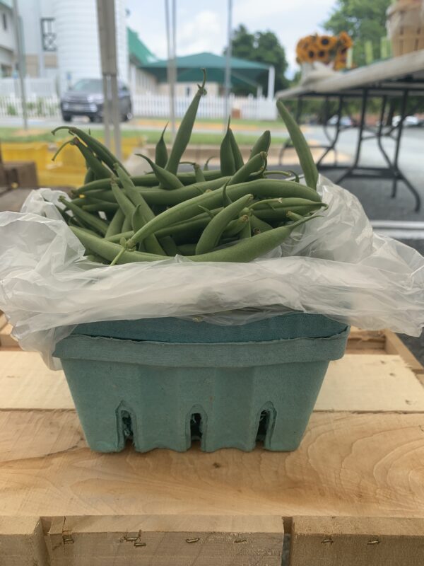 Teal carton of fresh green beans