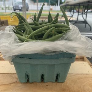 Teal carton of fresh green beans Teal carton of fresh green beans