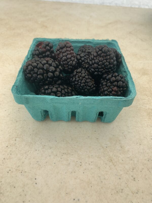 Blackberries - 1/2 Pint