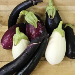 Eggplant