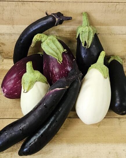 Eggplant