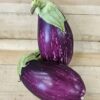 Eggplant