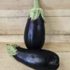 Eggplant