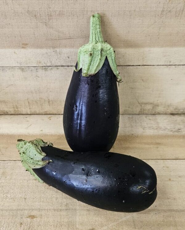 Eggplant