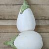 Eggplant