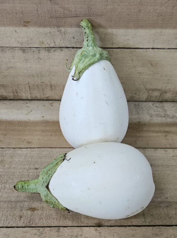 Eggplant
