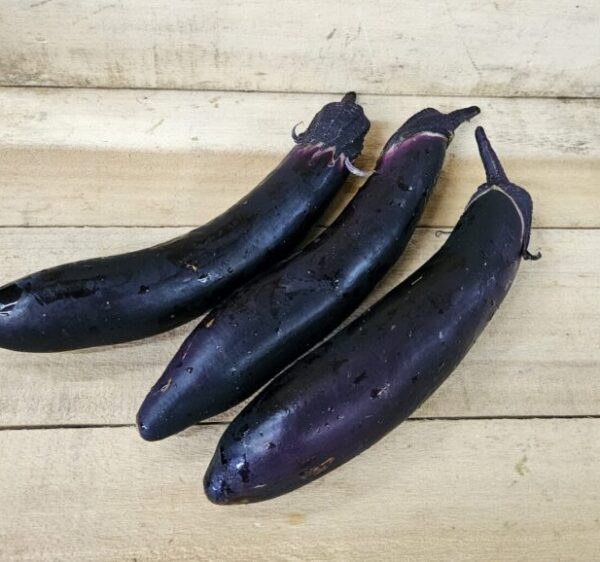 Eggplant