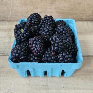 Blackberries