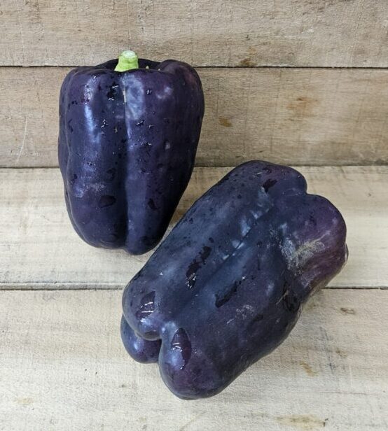 Bell Peppers