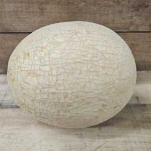Cantaloupe
