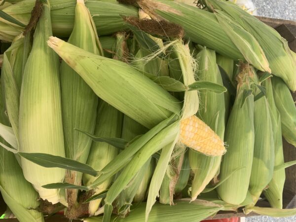 Sweet Corn - 1/2 Dozen