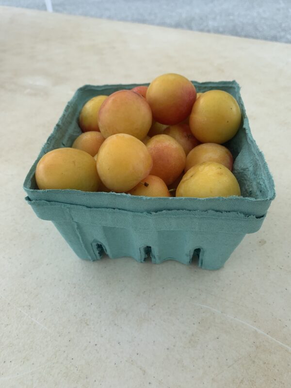 Golden Plums - 1 Pint