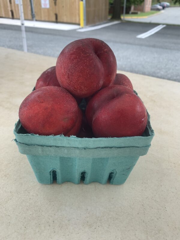 White Nectarine - 1 Quart