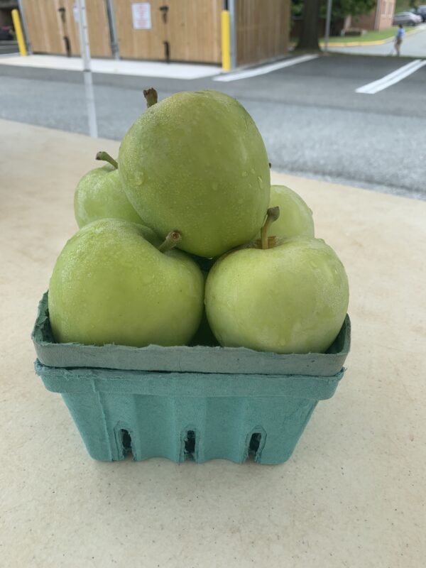 Lodi Apples - 1 Quart