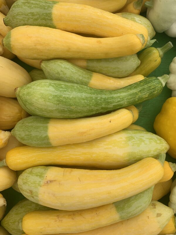Zephyr Squash - 1 lb