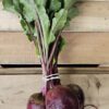20260710_145835 Red Beets