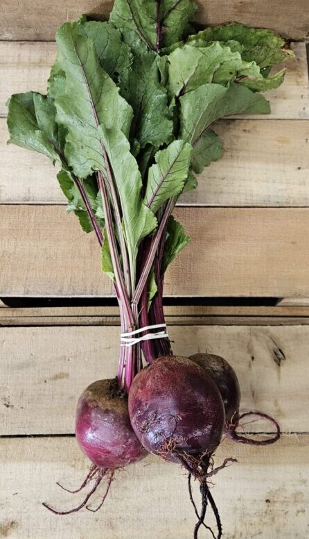 20260710_145835 Red Beets