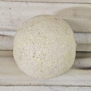 Sugar Cube Cantaloupe