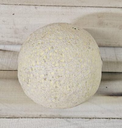 Sugar Cube Cantaloupe